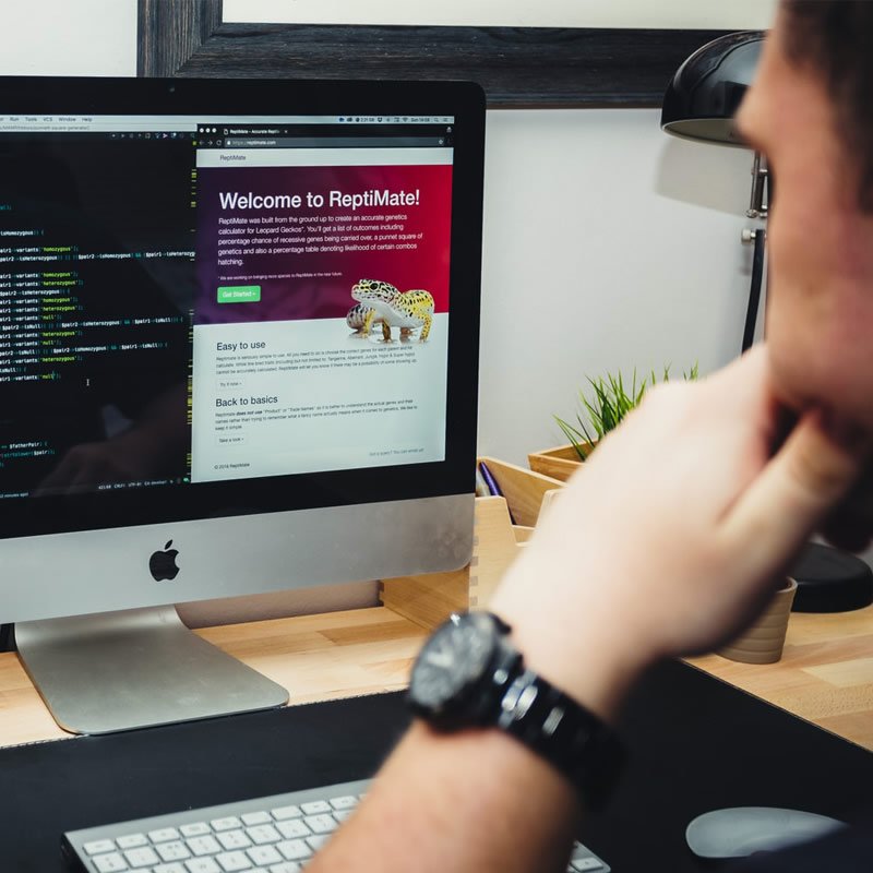 E-commerce Solutions - Online Store Development